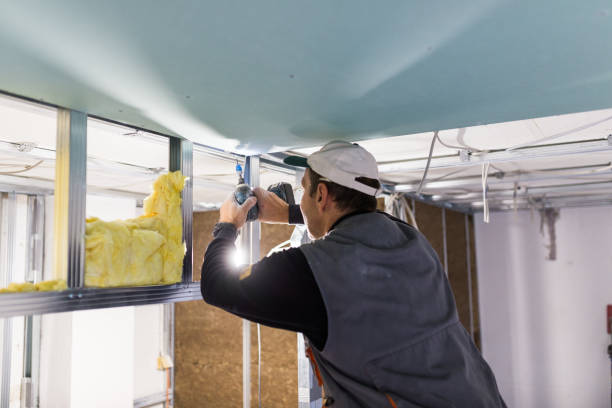 Best Spray Foam Insulation  in El Macero, CA