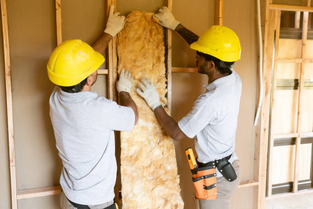 Best Blown-In Insulation  in El Macero, CA