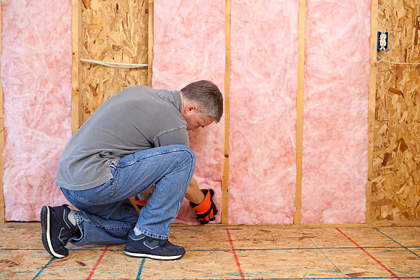 Best Attic Insulation Installation  in El Macero, CA