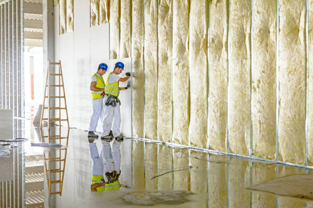 Best Insulation Air Sealing  in El Macero, CA